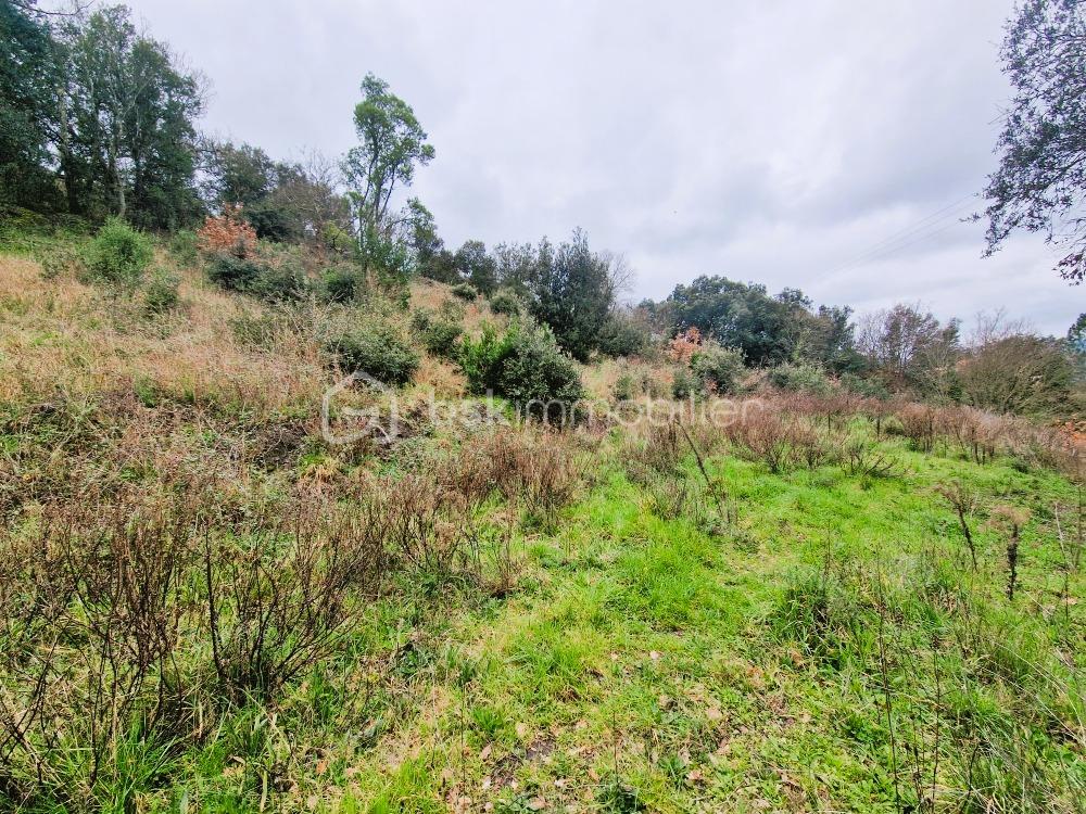 Vente Terrain TERRAIN CONSTRUCTIBLE 1792 m² viabilisé Quintillan