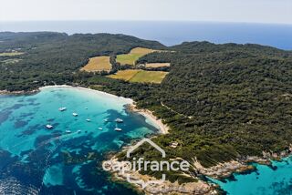 Vente Appartement Appartement à vendre 4 pièces PORQUEROLLES (83), rare à la vente appartement 2 terasses et cave, vue et calme Porquerolles