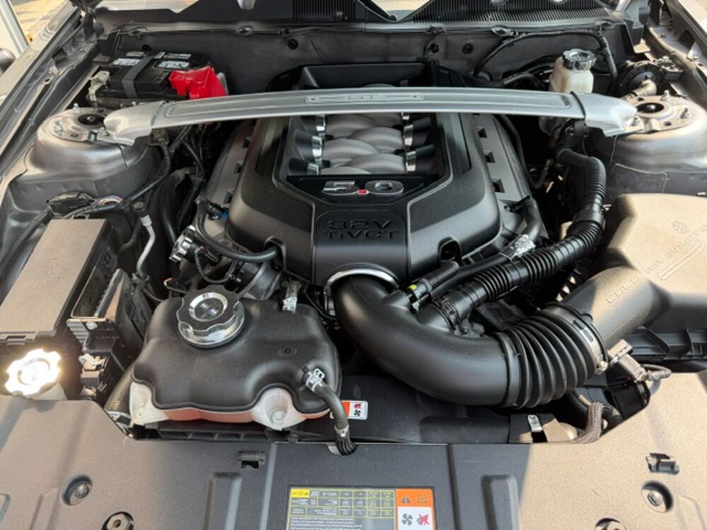 Mustang GT V8 BVA PACK BREMBO 2014 occasion 33300 Bordeaux