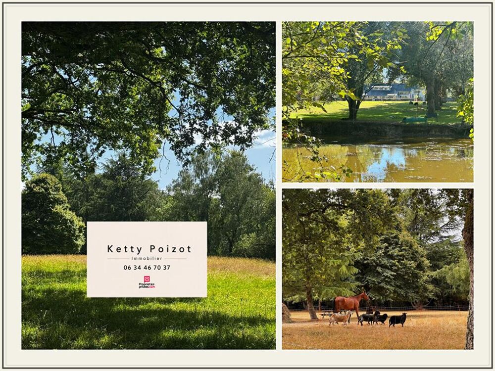 à vendre  Propriété/château Nort-sur-Erdre (44390)