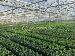  Propri�t�/ch�teau � vendre 4 pi�ces 120 m�