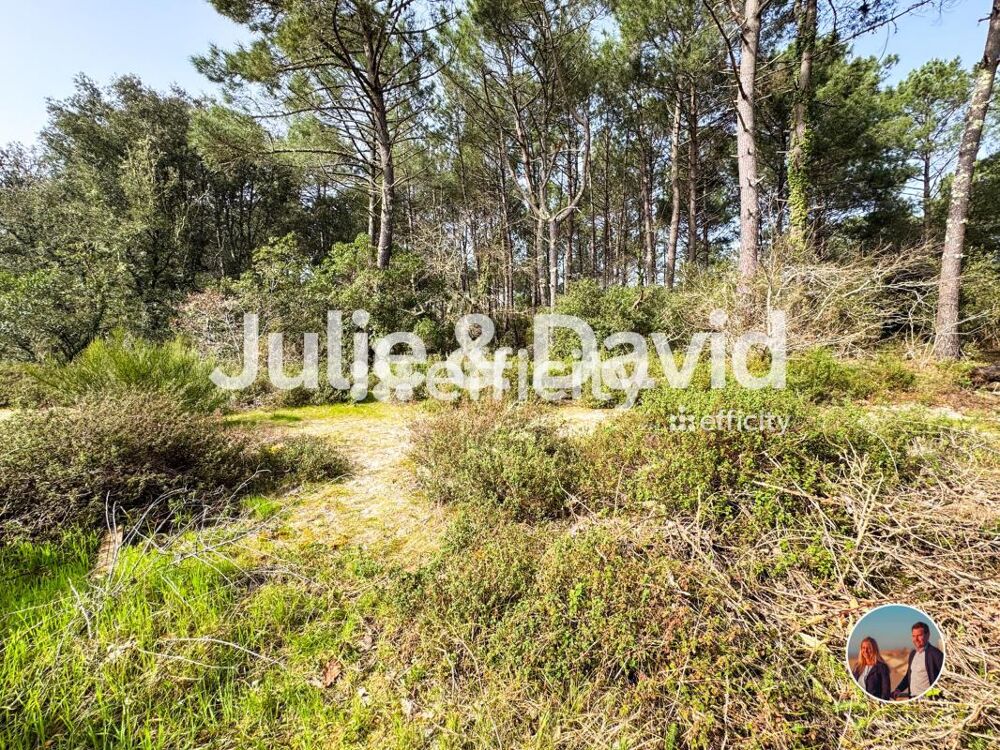 � vendre  Maison Lacanau (33680)