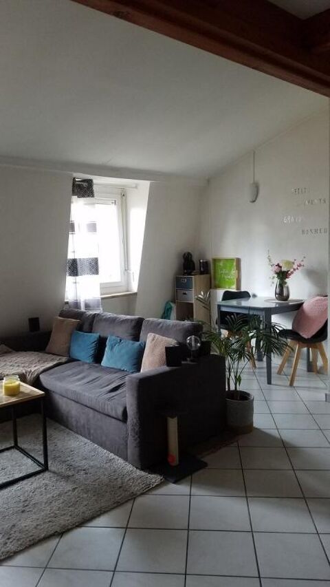  Appartement � louer 1 pi�ce 42 m�