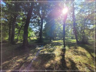  Proprit/chteau  vendre 9 pices 350 m