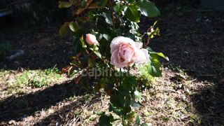  Maison � vendre 4 pi�ces 109 m�