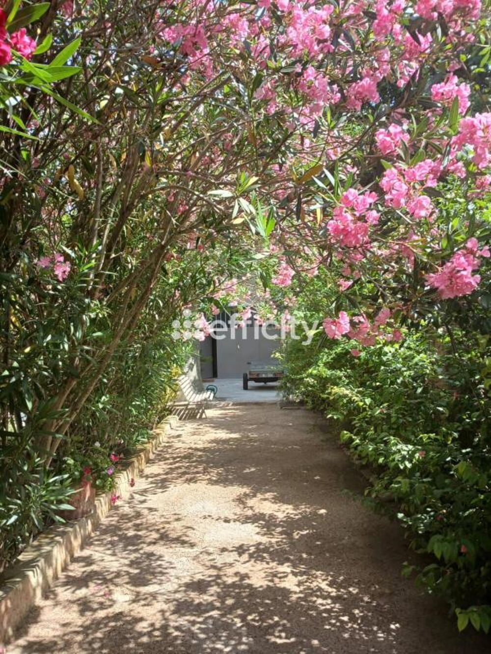 Vente Maison Mas Avignon