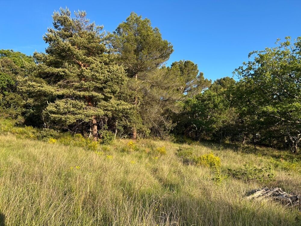 Vente Terrain ? TERRAIN À BÂTIR 2 610 m² – CADRE EXCEPTIONNEL – Baudinard-sur-Verdon ? Baudinard sur verdon