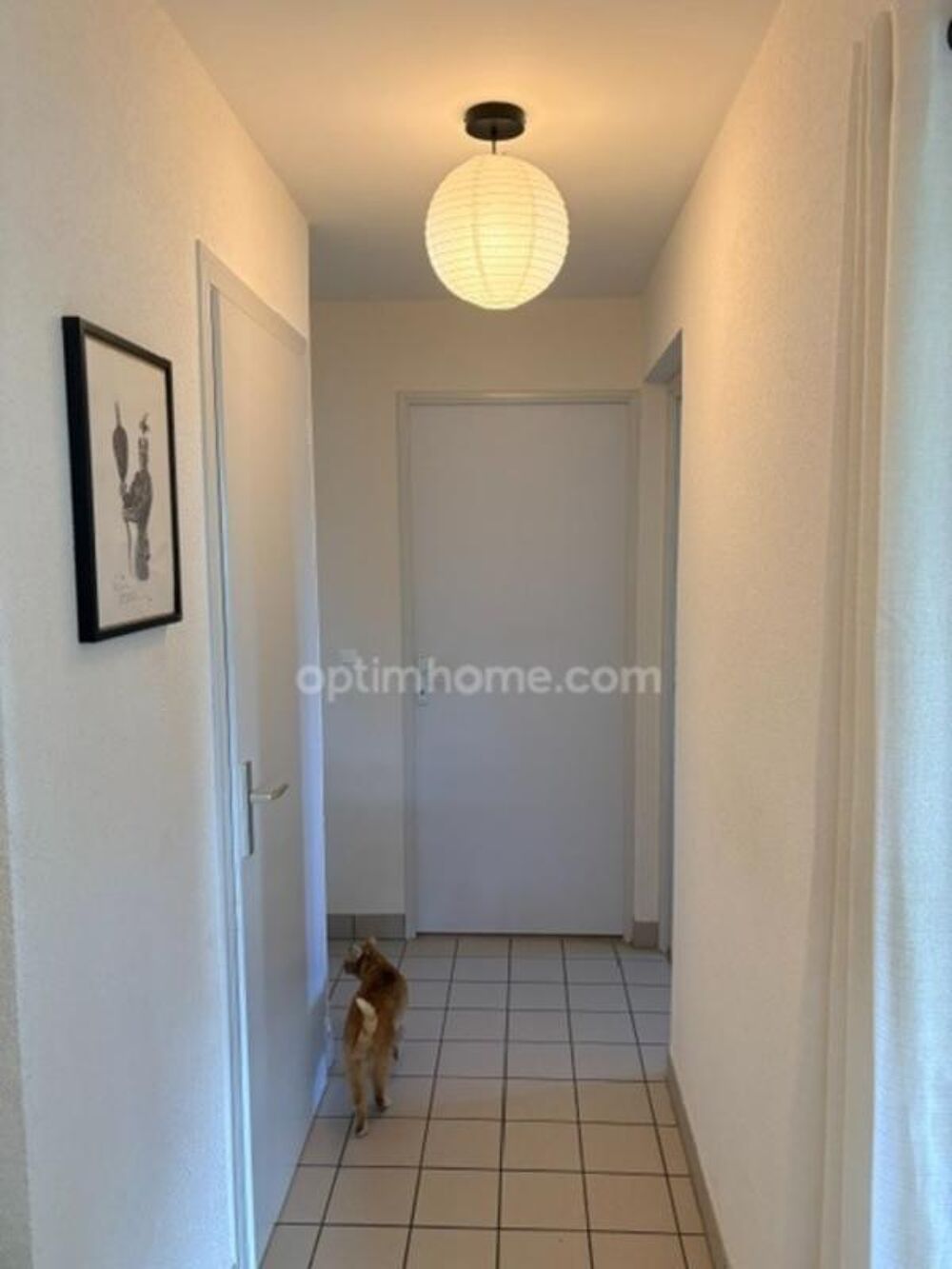 Vente Appartement Appartement T3 avec balcon, garage et cave – Allonzier-la-Caille Allonzier la caille