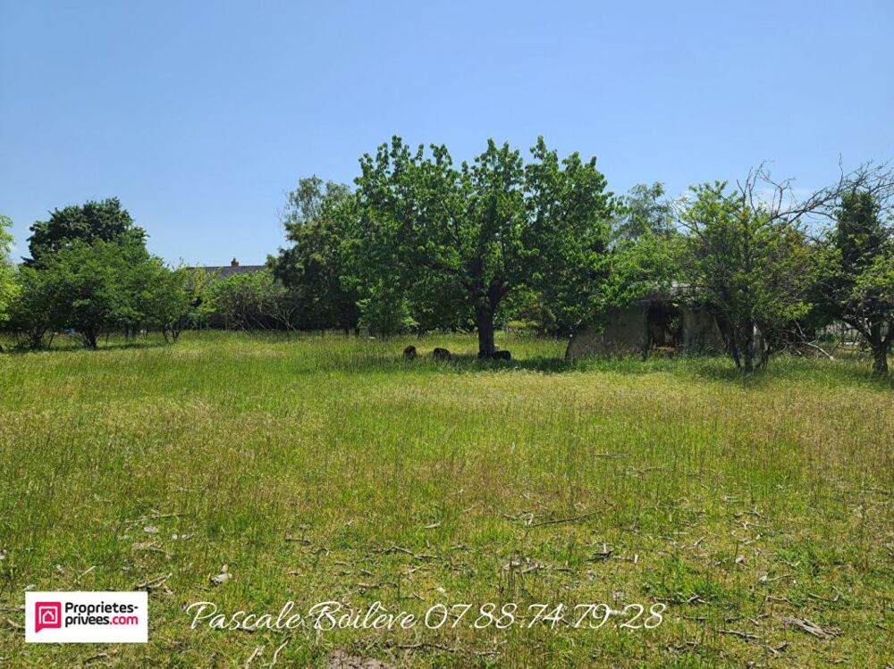 Vente Maison Maison  avec diverses dépendances et appartement - VERNANTES (49390) Vernantes