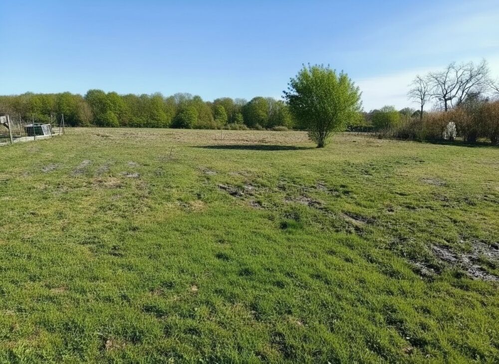 Vente Terrain ? Superbe Terrain à Bâtir de 1 422 m² Saint cricq villeneuve
