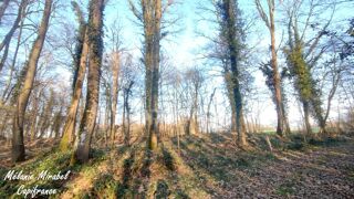  Terrain � vendre 3640 m�