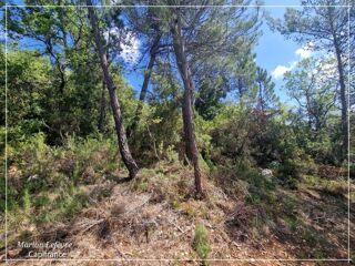  Terrain  vendre 27600 m