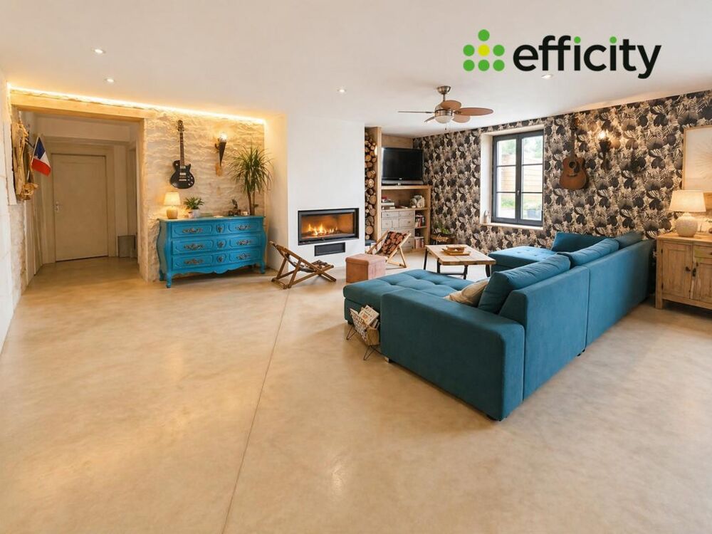 � vendre  Propri�t�/ch�teau Saint-Jean-de-Liversay (17170)