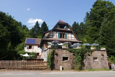 Dpt Bas-Rhin (67), &agrave; vendre proche de Strasbourg : Auberge - Gite - Emplacement N&deg; 1 - Massif Vosgien - 1 155 m2 - Propri&eacute;t&eacute; 17, 549875 67210 Obernai