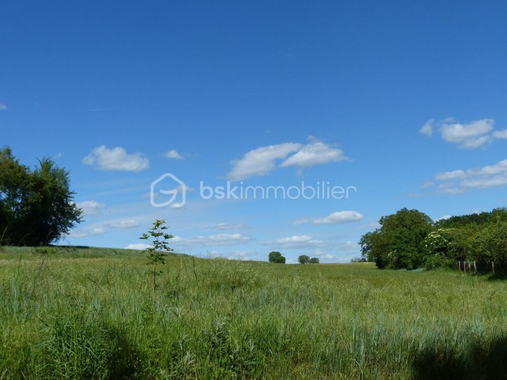 Vente Terrain Terrain de 5 787 m² dont 1 710 m² constructibles Charbuy