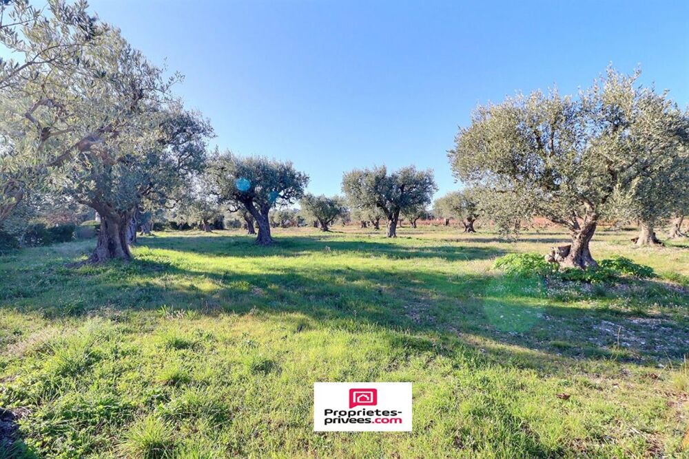 Vente Maison Mas Provençal  83330 - sur parcelle de  13 020 m2  avec vignes et Oliveraie Le castellet