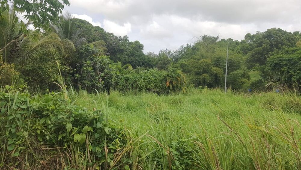 Vente Terrain Terrain à vendre de 669 m² SAINTE ANNE (971) Sainte anne