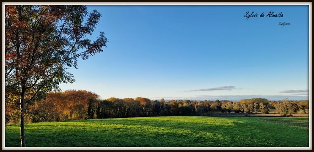 Propriété à vendre entre BIZIAT et PONT DE VEYLE (01) 16,5 Ha, vue, maison 145 m², ferme à rénover 170 m², pigeonnier, hangar, é