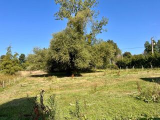  Terrain à vendre 1300 m²
