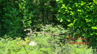  Terrain à vendre 45519 m²