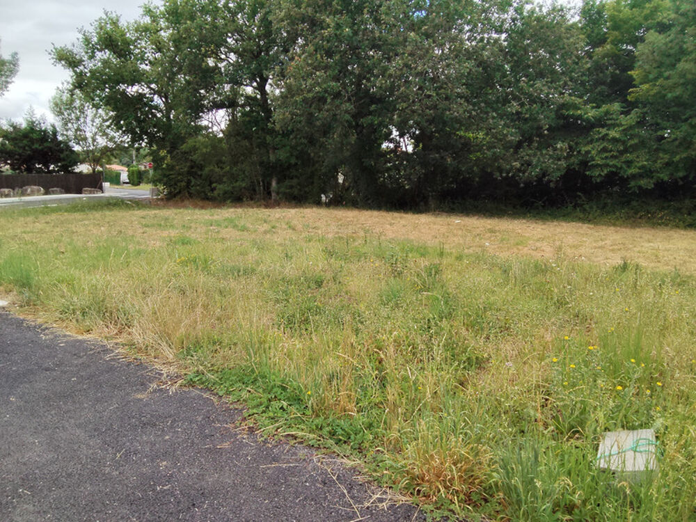 Vente Terrain Terrain constructible de 398 m² à Fontcouverte (17100) Fontcouverte