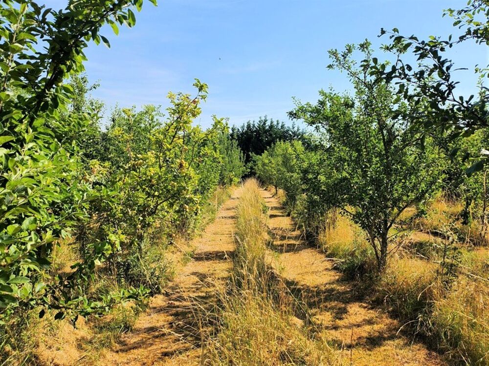 Belle longère avec dépendances - 6 pièces - BEAUMONTOIS EN PERIGORD (24)