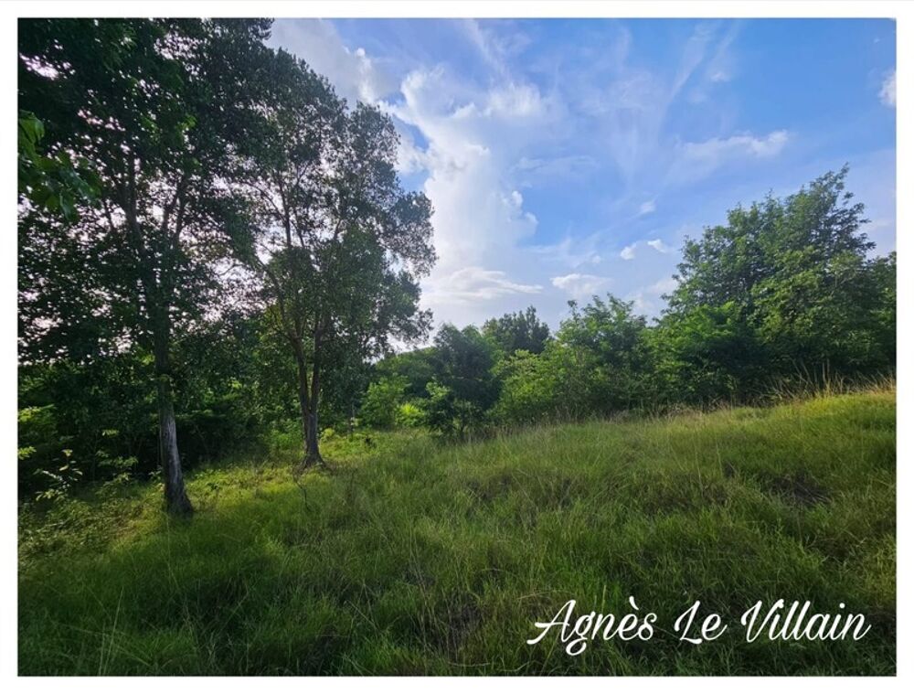 Vente Terrain Terrain 2 983 m2 à Bouillante Bouillante