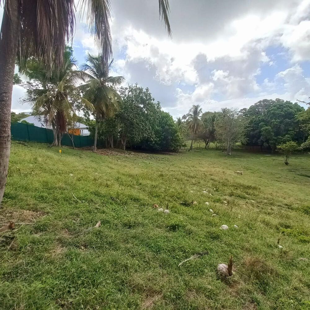 Vente Terrain Terrain constructible à vendre DAMPIERRE LE GOSIER (971) Le gosier