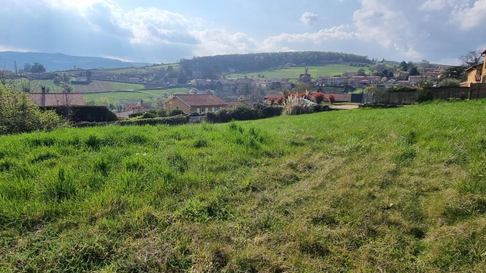 Vente Terrain Terrain Cogny 1514 m2 Cogny