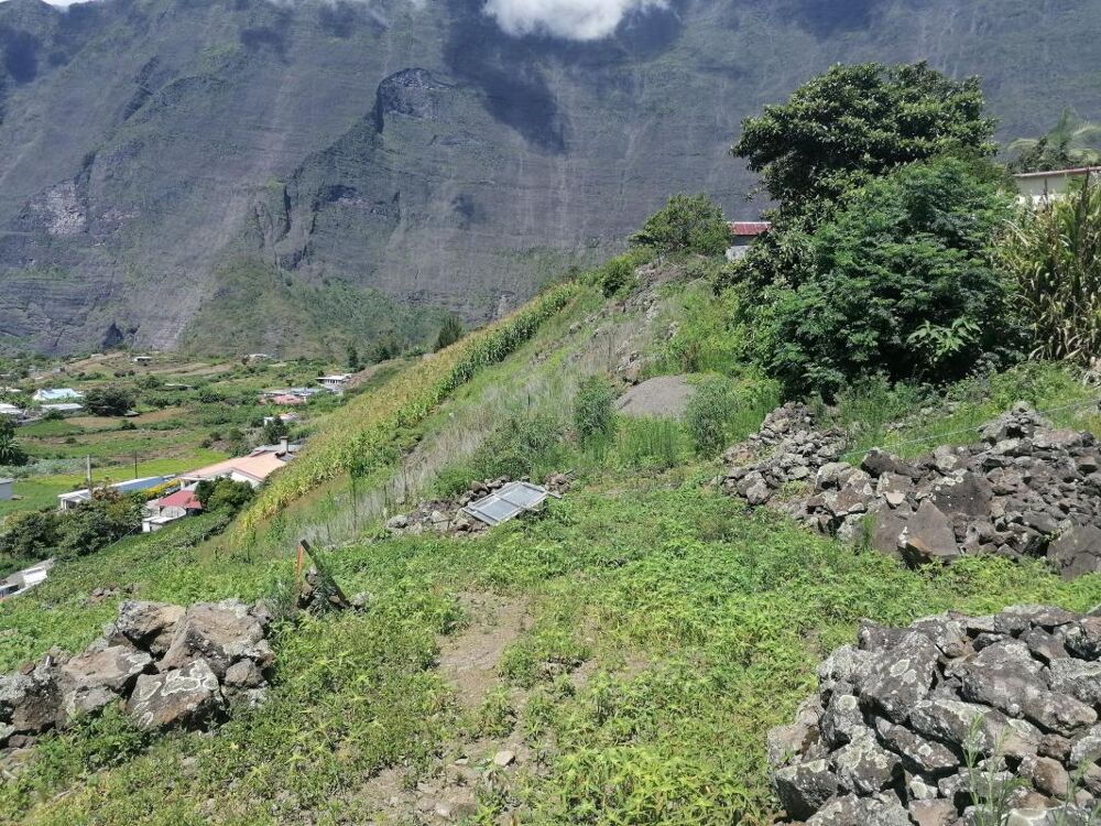 Vente Terrain ORPI-CILAOS Terrain 800 m² Cilaos