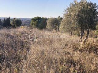  Terrain � vendre 35000 m�