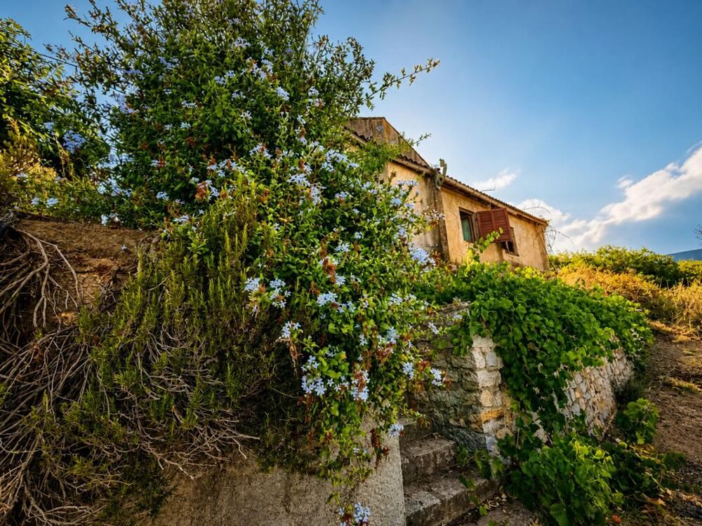 Vente Maison Maison T5 de 110 m2 avec jardin, à rénover - Ajaccio Ajaccio