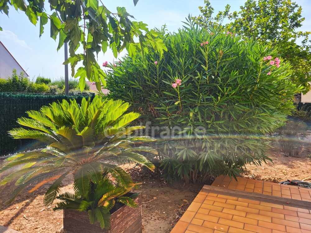 Vente Maison Maison 6 pièces Cabestany