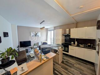  Loft � vendre 2 pi�ces 38 m�