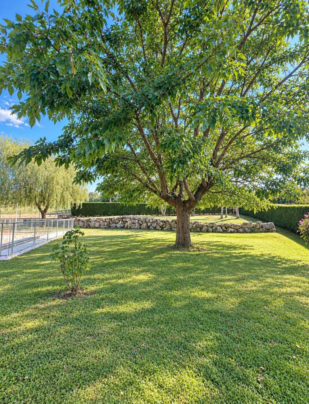 Vente Maison Maison à vendre 4 pièces JONGIEUX (73) Jongieux