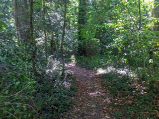  Terrain � vendre 3025 m�