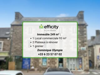  Immeuble à vendre 13 pièces 220 m²