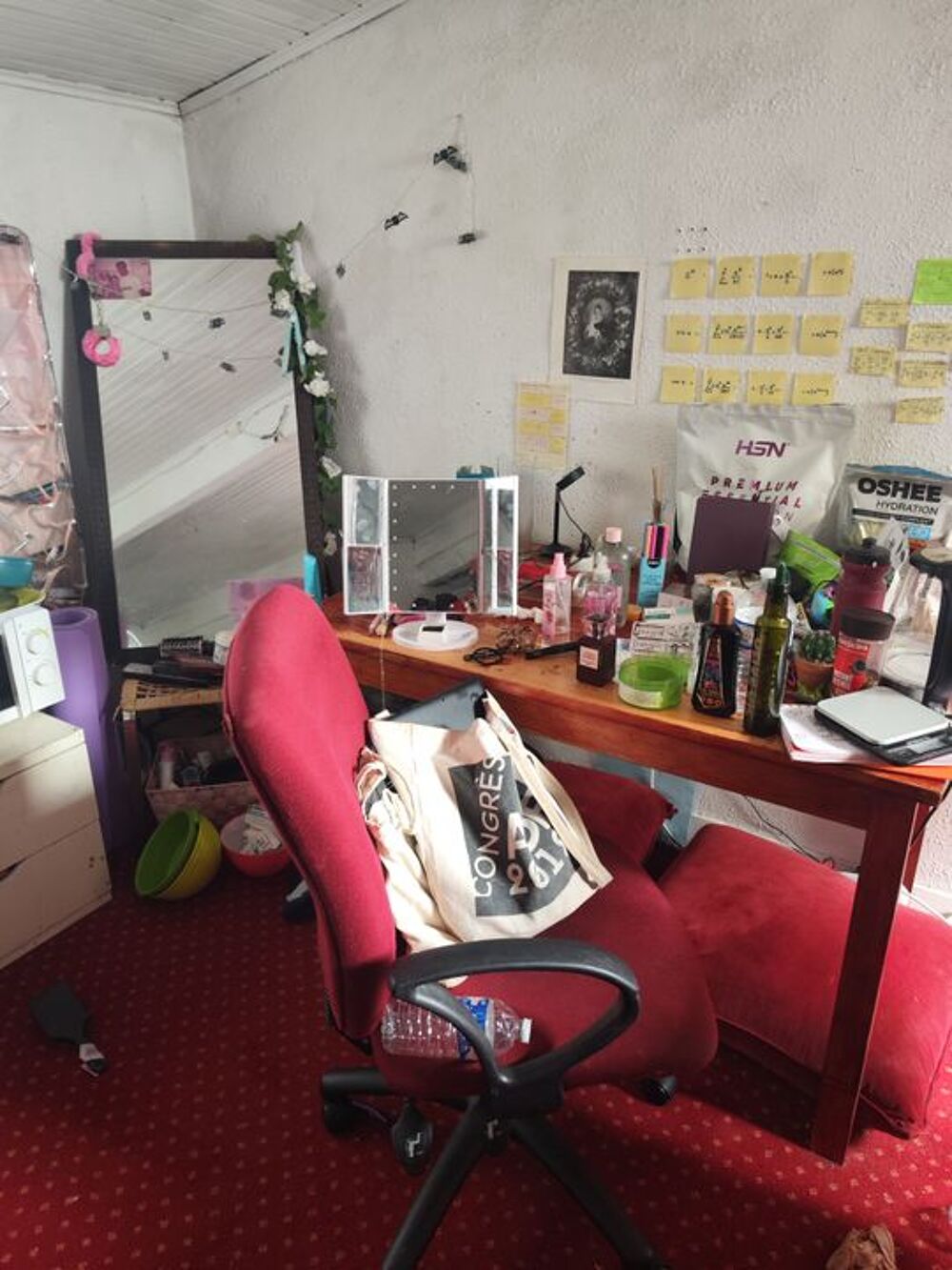 Location Appartement Chambre de 20m2 à louer sur Villejuif Villejuif