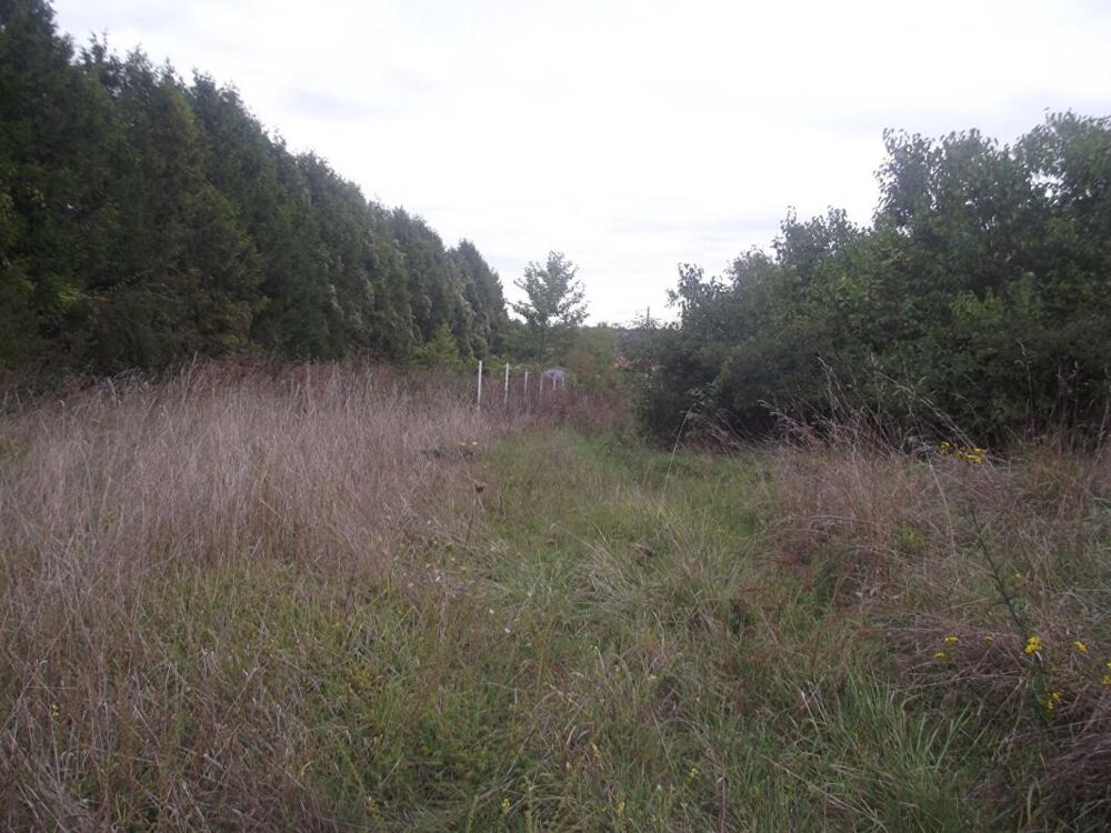 Vente Terrain Terrain constructible Chavanges