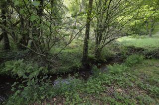  Propri�t�/ch�teau � vendre 9 pi�ces 255 m�