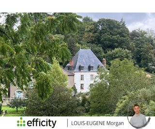  Propri�t�/ch�teau � vendre 10 pi�ces 235 m�