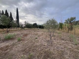 Vente Terrain Magnifique terrain non constructible de 882 m², plat et clôturé  avec forage entre Rivesaltes et Espira Rivesaltes