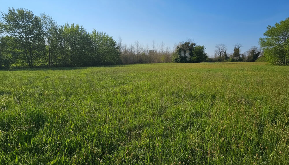 Vente Terrain LAFOX 47240 Terrain constructible 982 m2 Lafox
