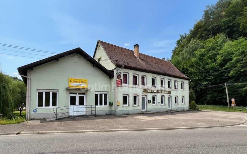 Vente Maison Maison d'habitation avec local professionnel et fort potentiel – Philippsbourg (57230) Philippsbourg