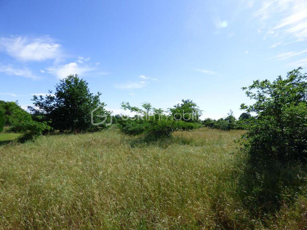 Vente Terrain Terrain constructible hors lotissement Saint jean de marsacq