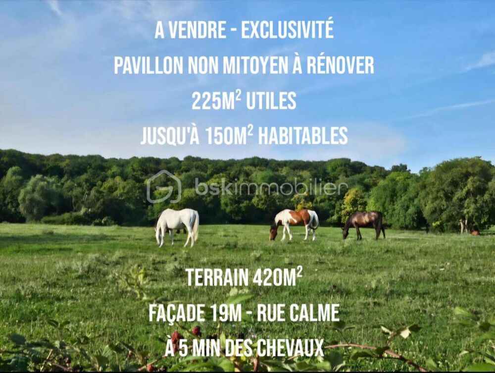 Pavillon 2 logements possible non mitoyen terrain 420m²