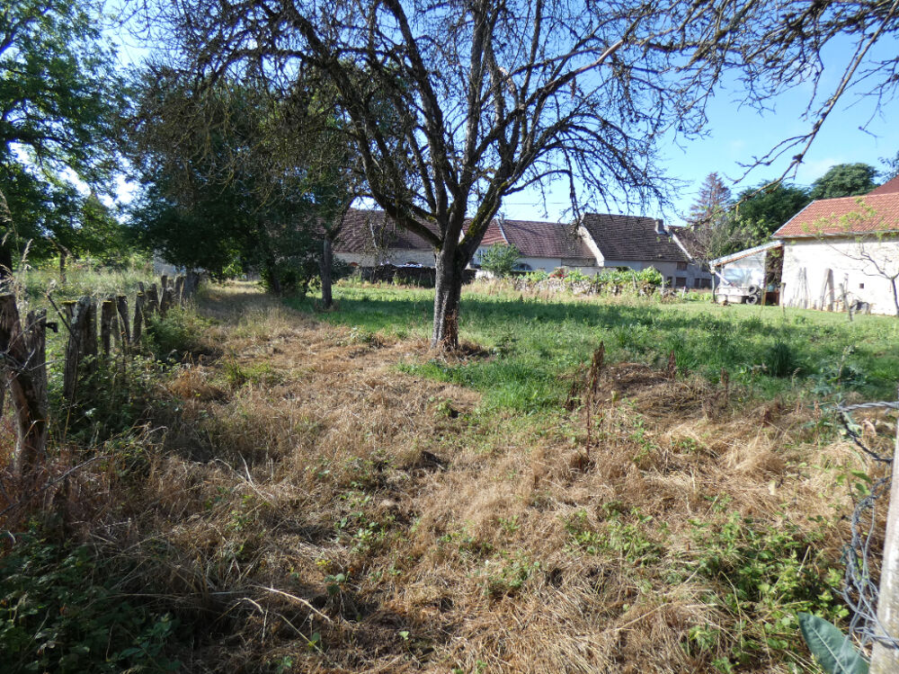 Vente Terrain 70190 - RECOLOGNE LES RIOZ - Terrain 1054 m² - Prix : 25000  honoraires charge vendeur Recologne les rioz
