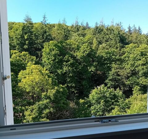  Appartement � louer 1 pi�ce 11 m�