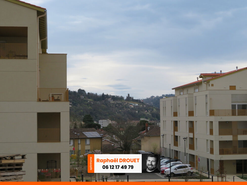 Vente Appartement T4 DUPLEX - RENOVE A NEUF  CHARME DE L'ANCIEN Vienne