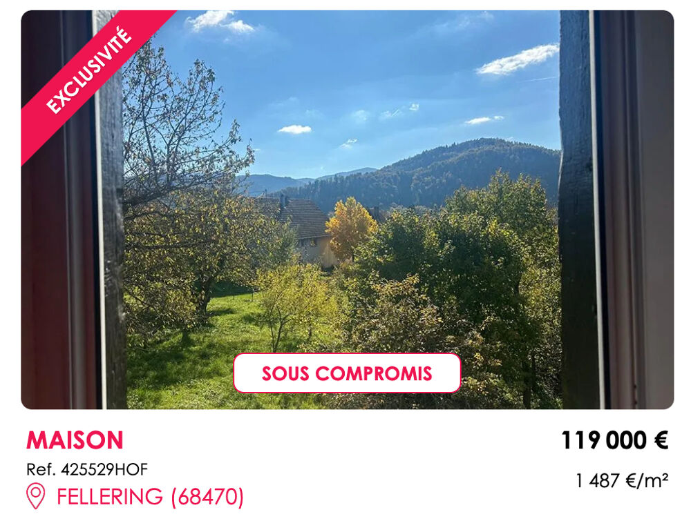 Spécial investisseurs , Saint-Amarin 68550, 7 pièces, 155 m2, terrain 5,8 ares